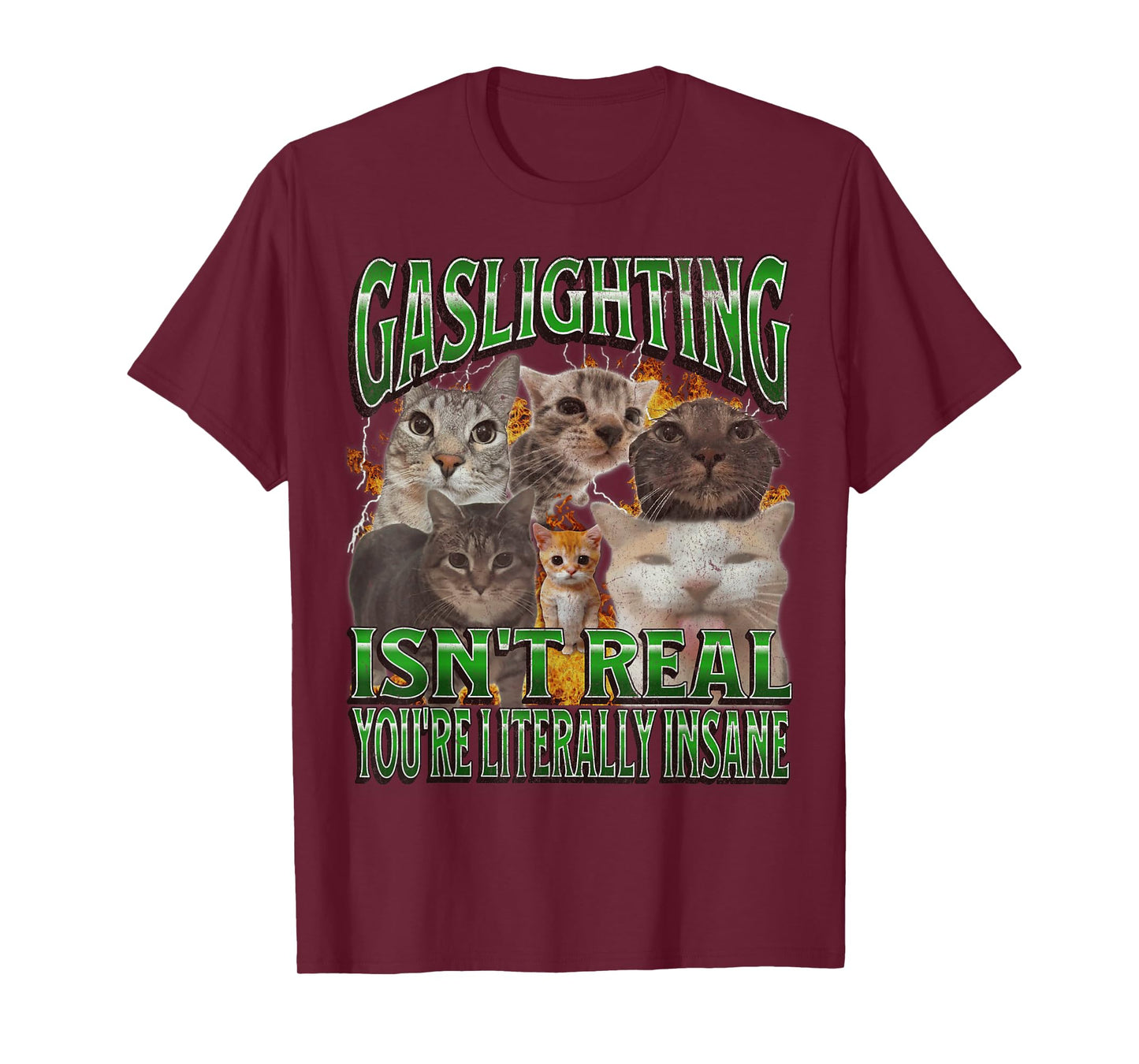 Gaslighting Isn't Real Funny Cat Meme Bootleg Graphic T-Shirt