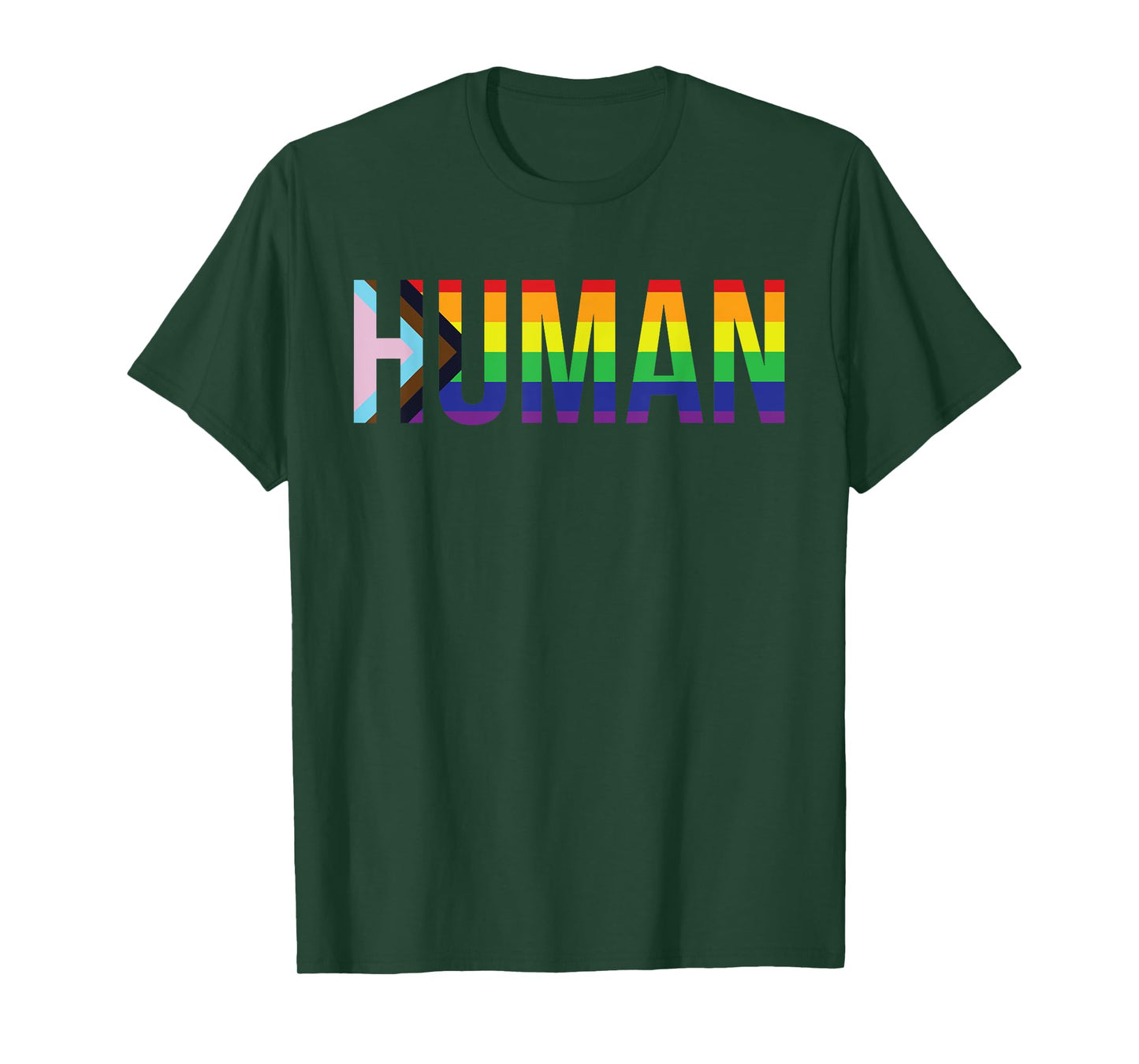 Human LGBTQIA+ Flag LGBTQ+ Flag shirt LGBTQIA+ Flag Human T-Shirt