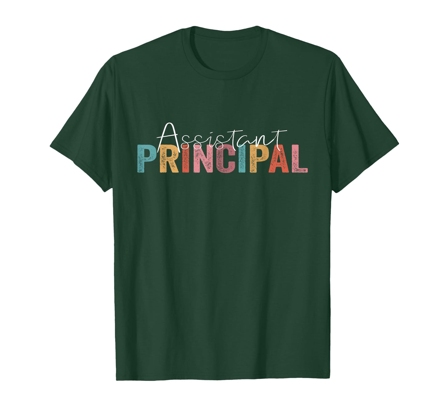 Assistant Principal Funny Job Title School Worker Vintage T-Shirt