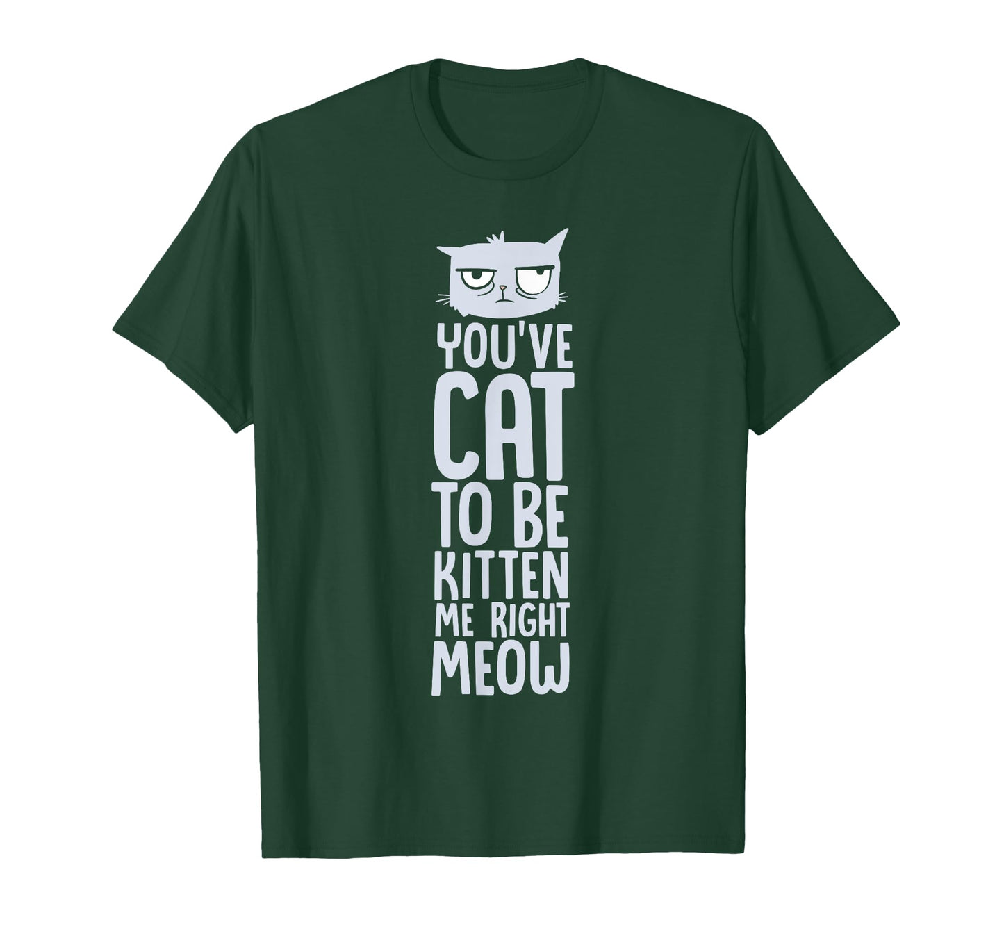 You've Got To Be Kitten Me, Right Meow Funny Cat Pun T-Shirt for Men Women Girls Kids