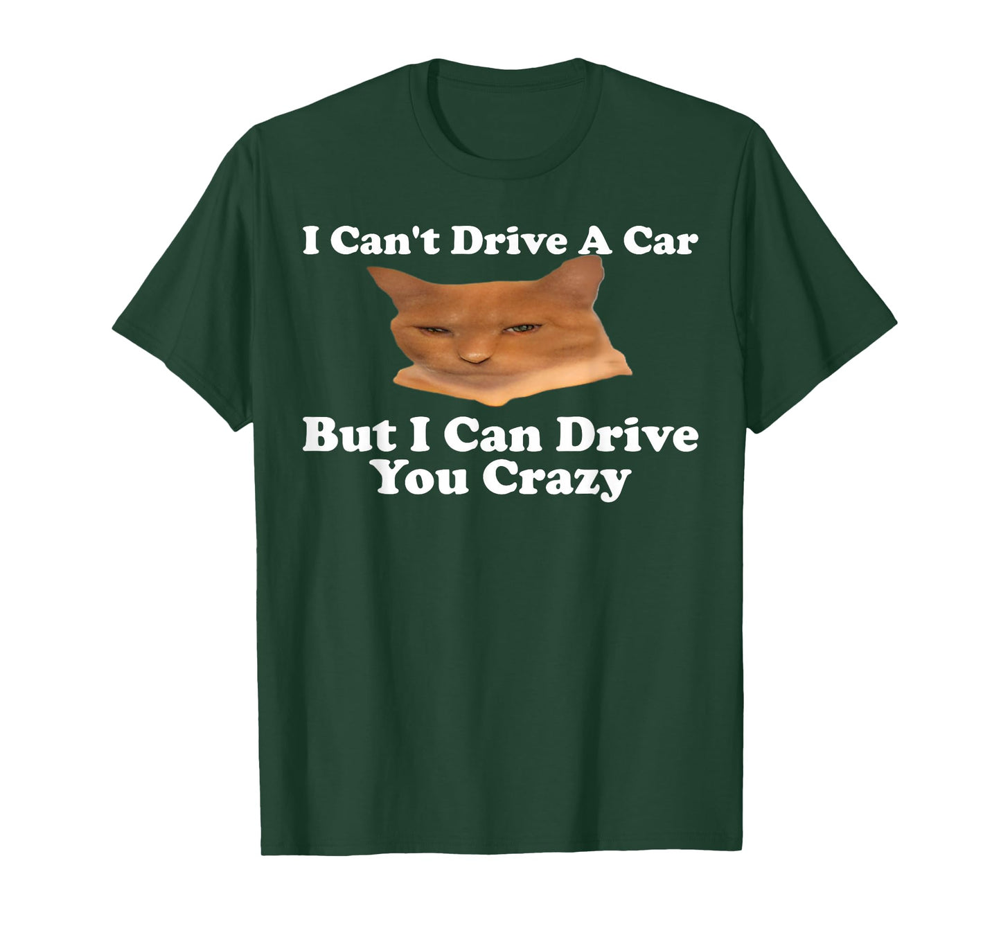 I Can't Drive A Car But I Can Drive You Crazy Cat Meme Gen-Z T-Shirt