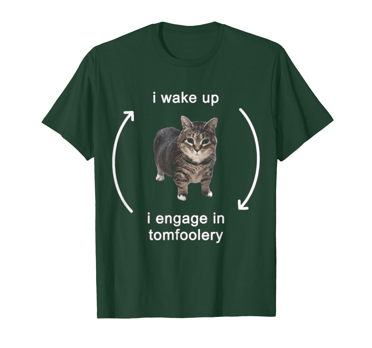 I Wake Up I Engage In Tomfoolery Cat FUNNY MEME T-Shirt for Men Women Kids