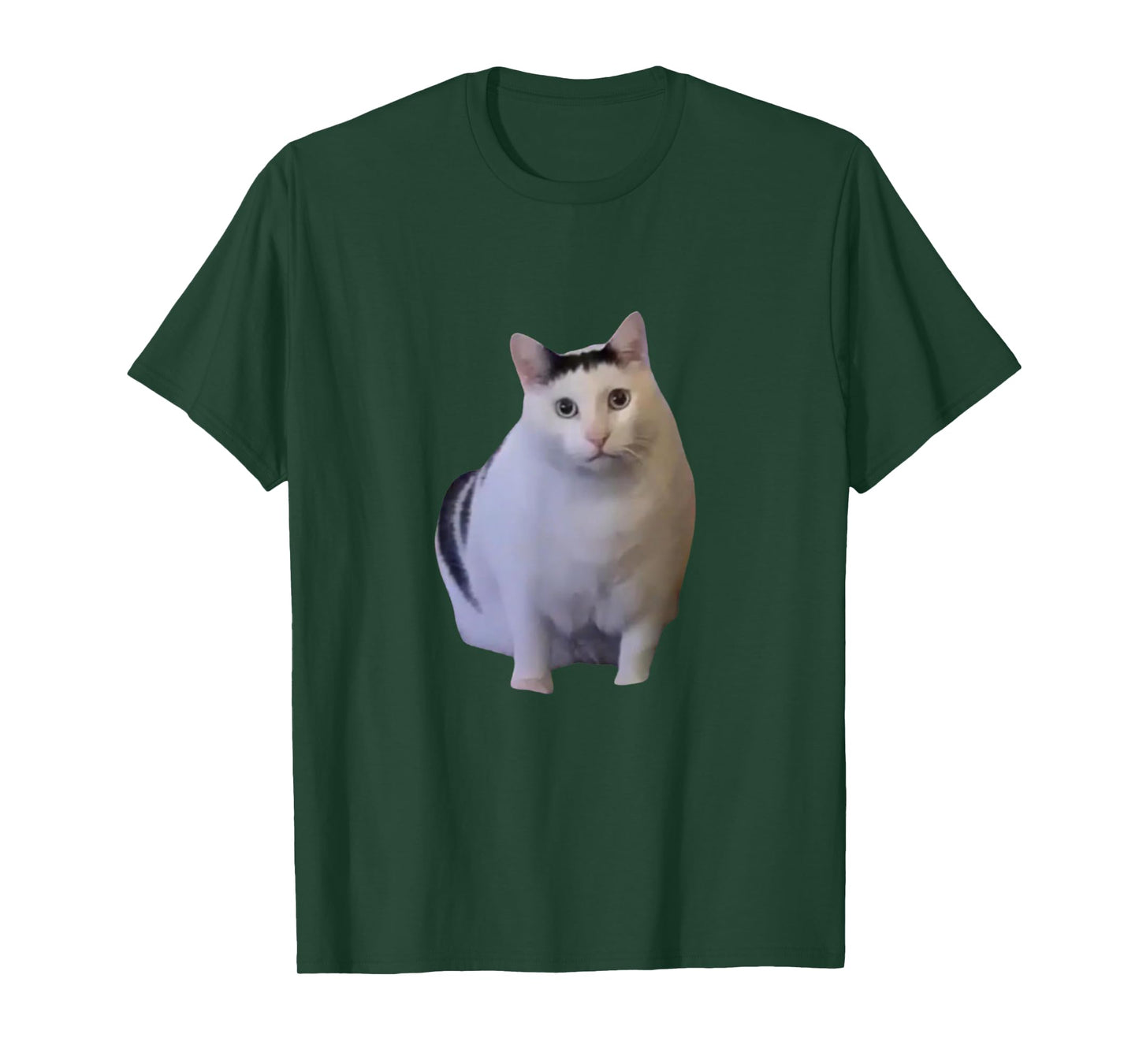 I Heart I Love Funny Huh Cat Meme T-Shirt