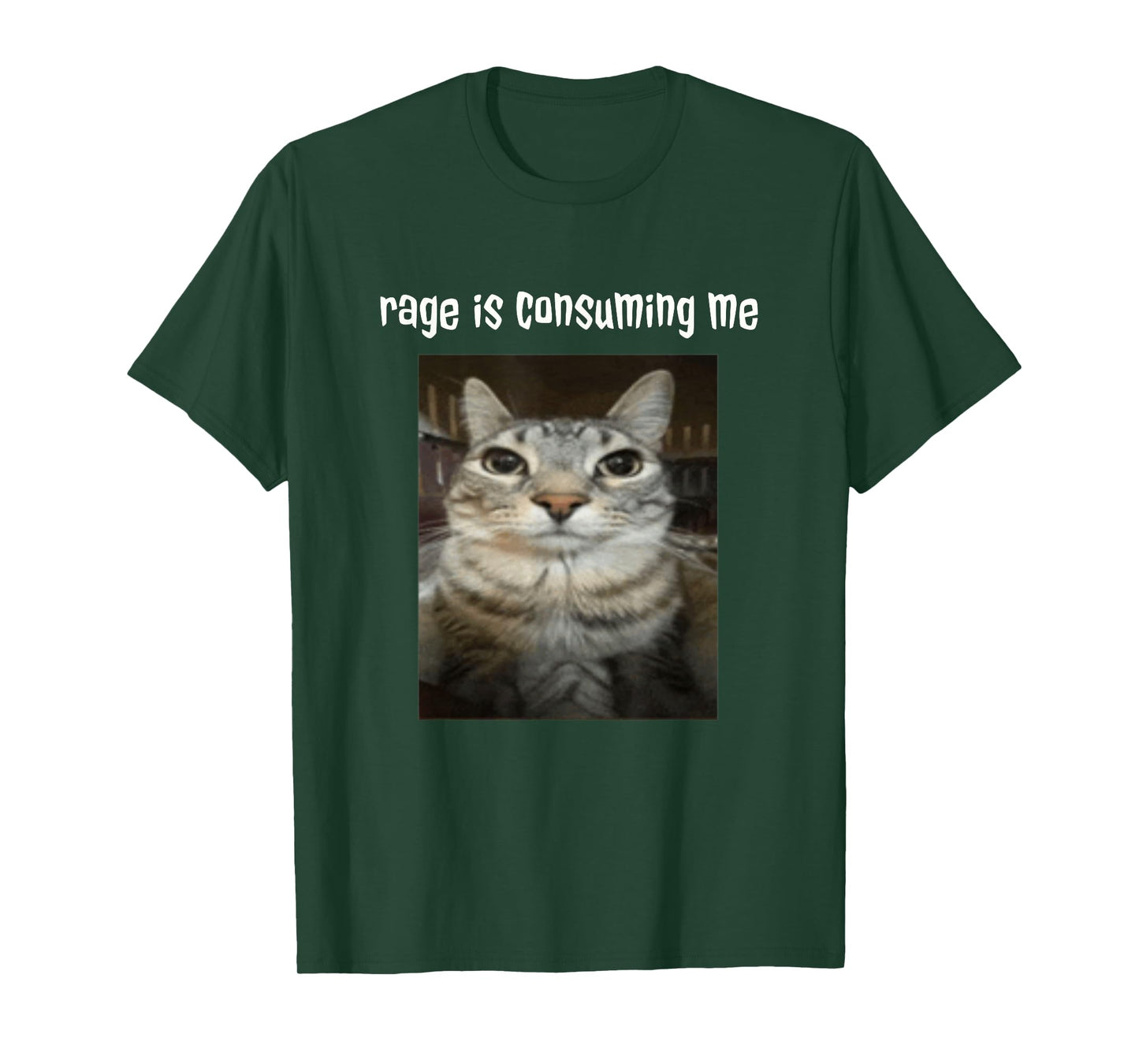 Silly Staring Cat Meme Rage Is Consuming Me T-Shirt