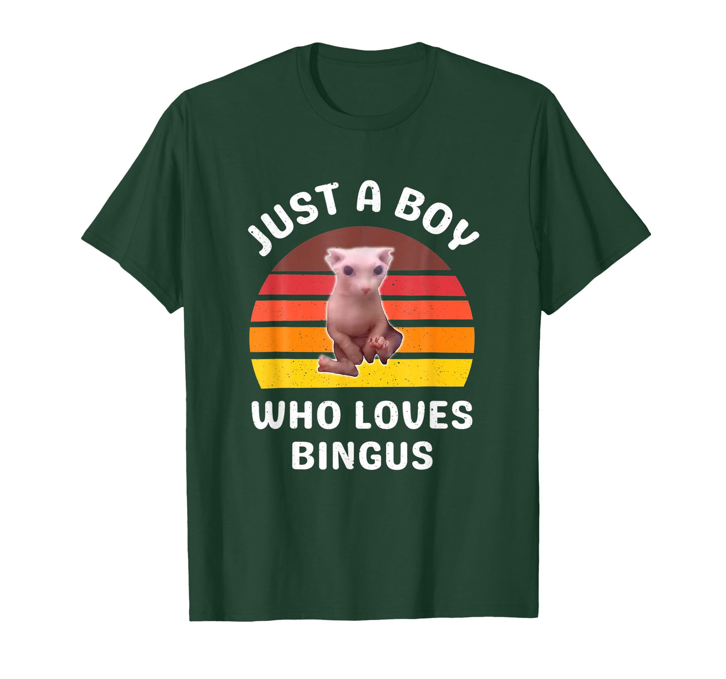 Just A Boy Who Loves Bingus Funny Hairless Sphynx Cat T-Shirt