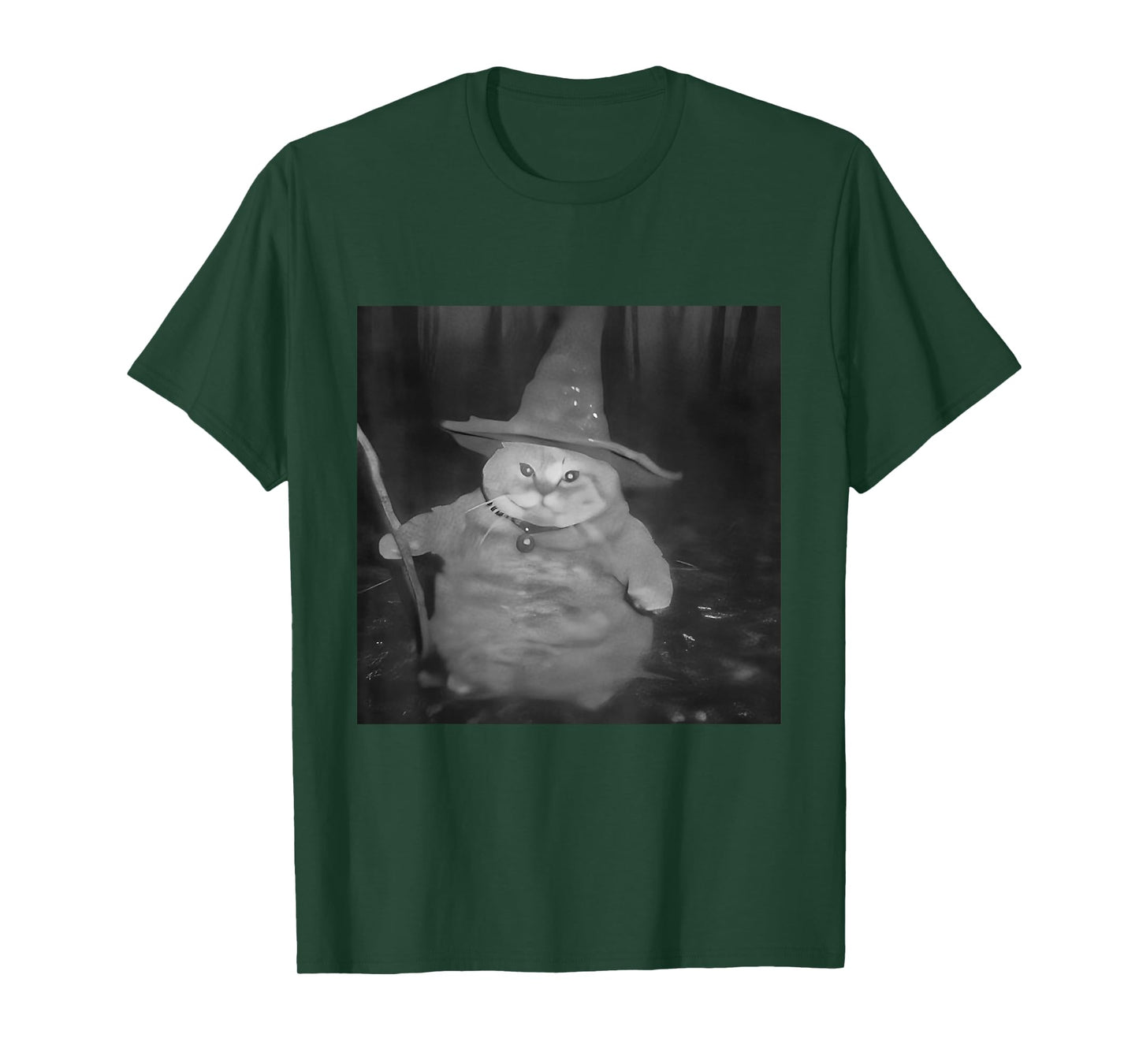 Fat Wizard Cat Fat Kitten Wizard Funny Cat Meme Brain Rot T-Shirt