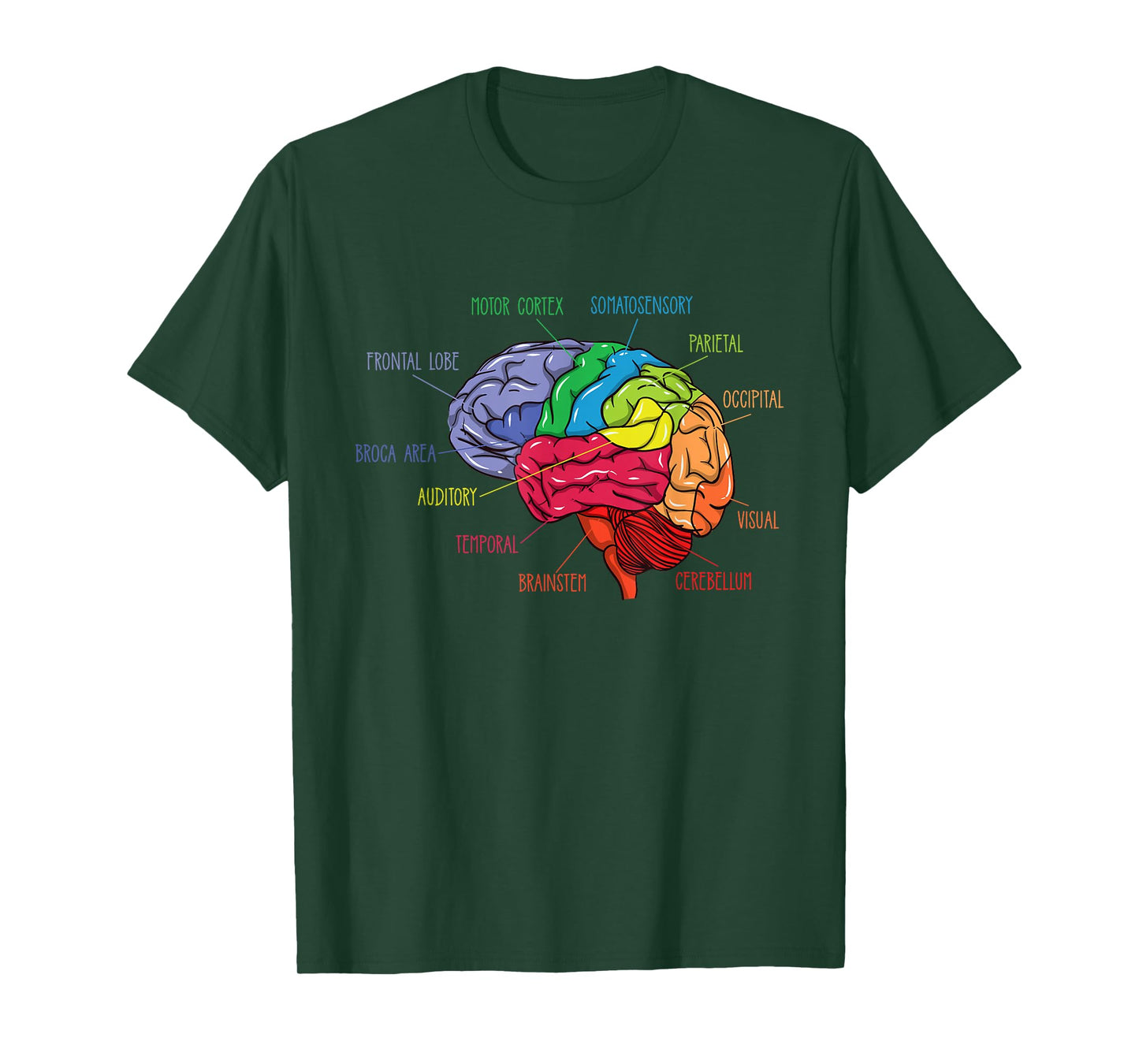 Anatomy Of The Brain Neurologist Gift T-Shirt