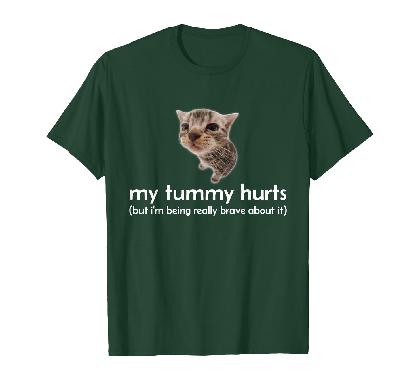 My Tummy Hurts But I'm Being Brave About It Funny Cat Meme T-Shirt for Men Women