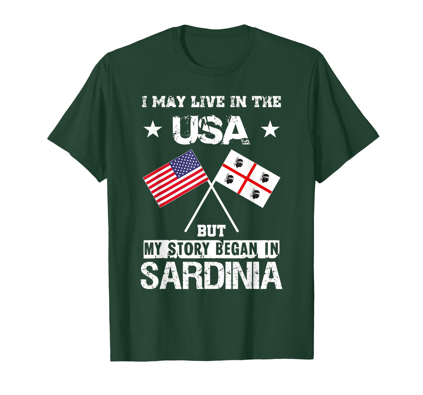 USA America Sardinia Flag My Story Began Sardegna T-Shirt