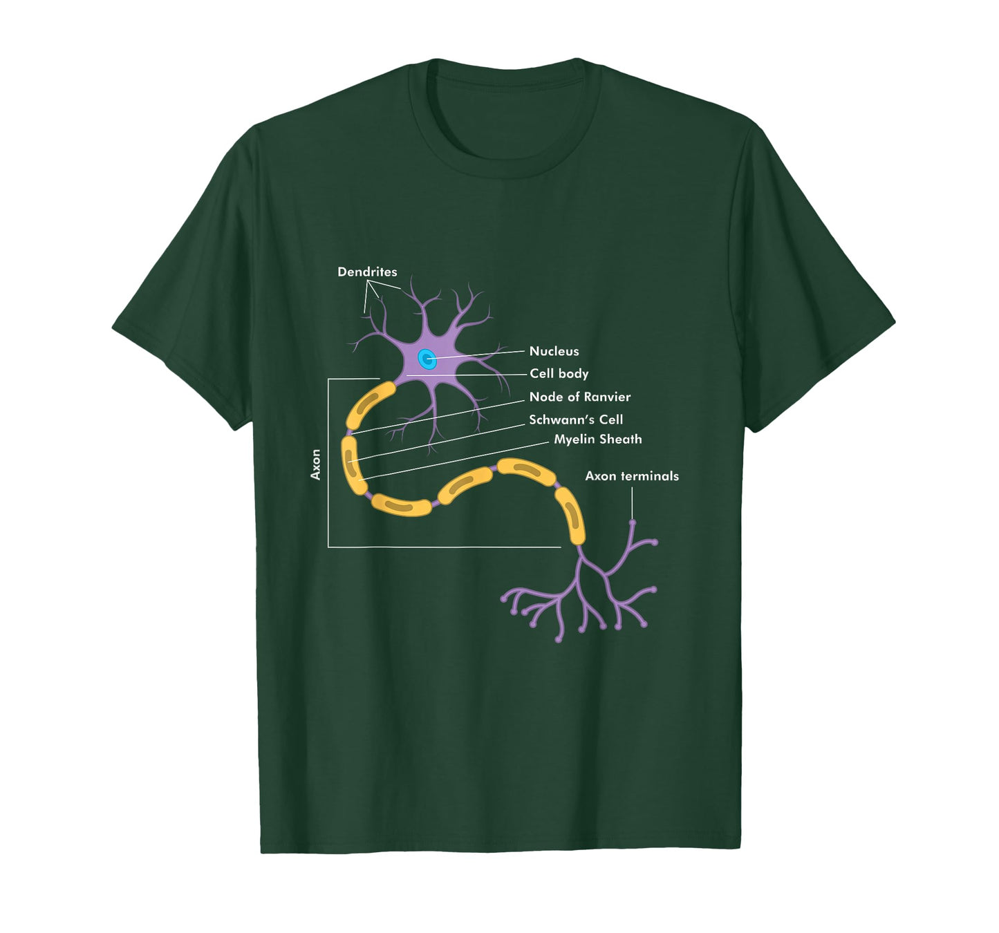 Anatomy Of Neuron Neurologist Gift T-Shirt