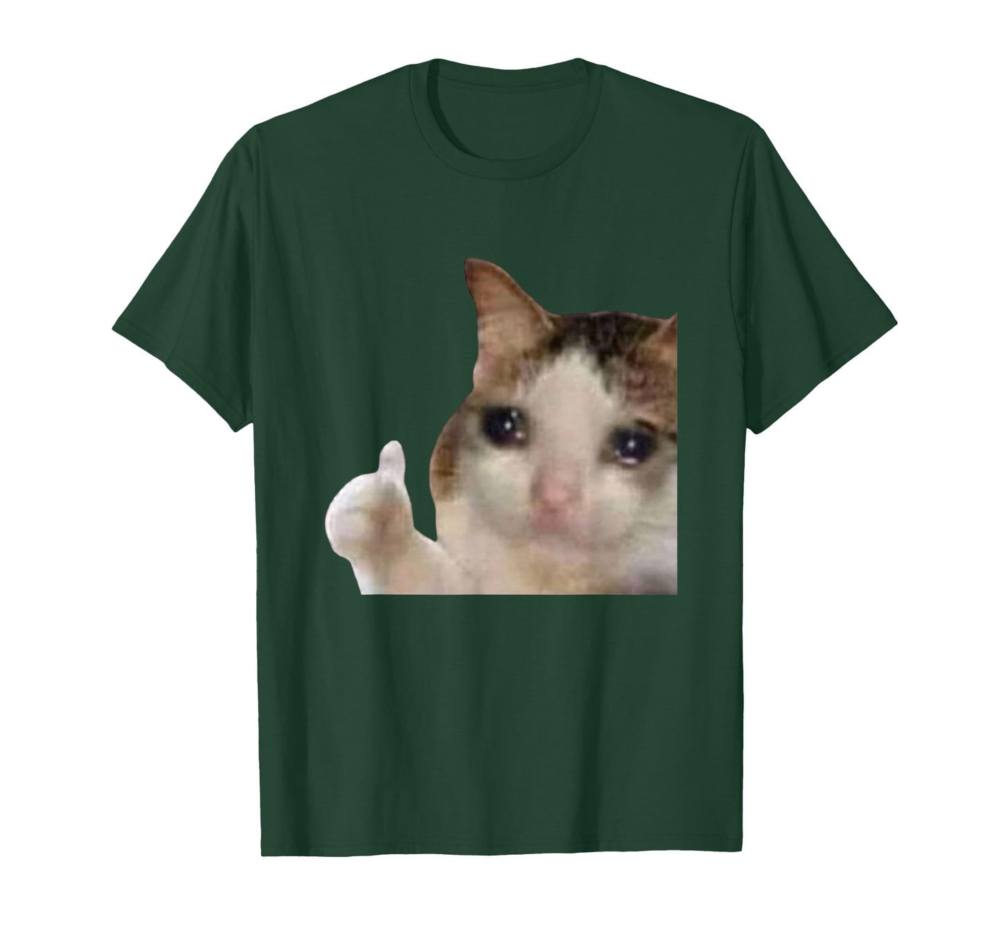 Funny Cute Crying Cat Sad Tears Thumbs Up Meme Gen Z Humor T-Shirt