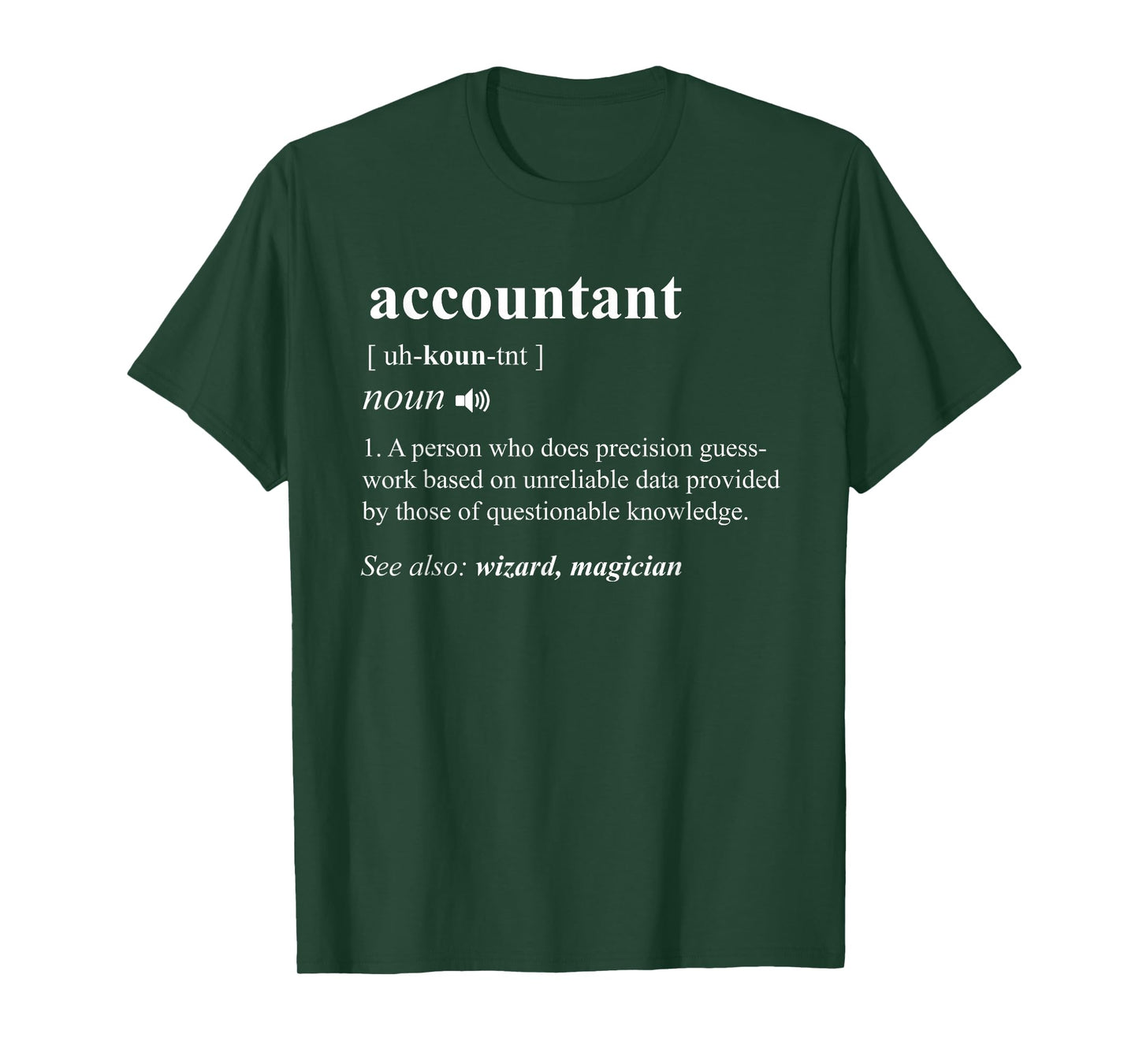 Accountant Definition Noun Accounting Major CPA Funny Gifts T-Shirt Small