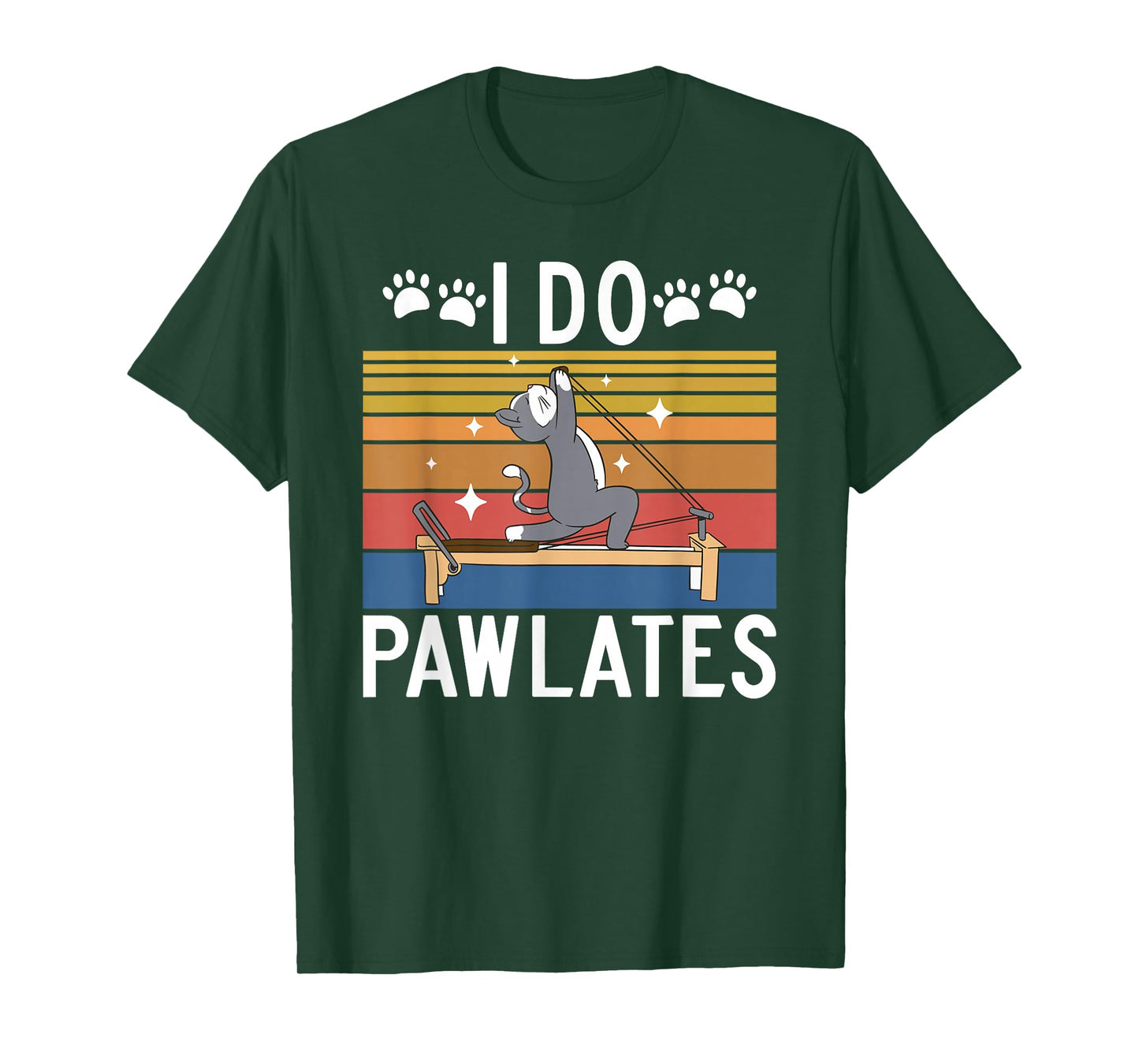 Pilates Gifts I Do Pawlates Cat Pilates Yoga T-Shirt Black Small Crew Neck Short Sleeve Women Pilates Enthusiasts