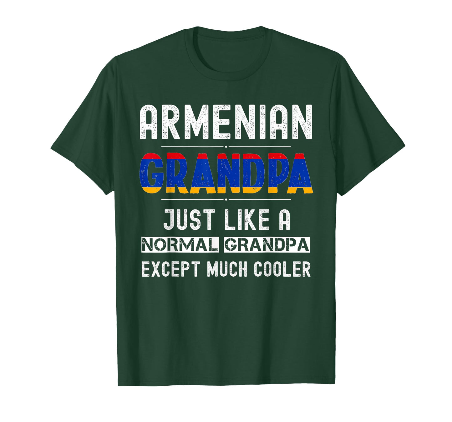 Armenian Grandpa fathers day from kids funny men birthday T-Shirt