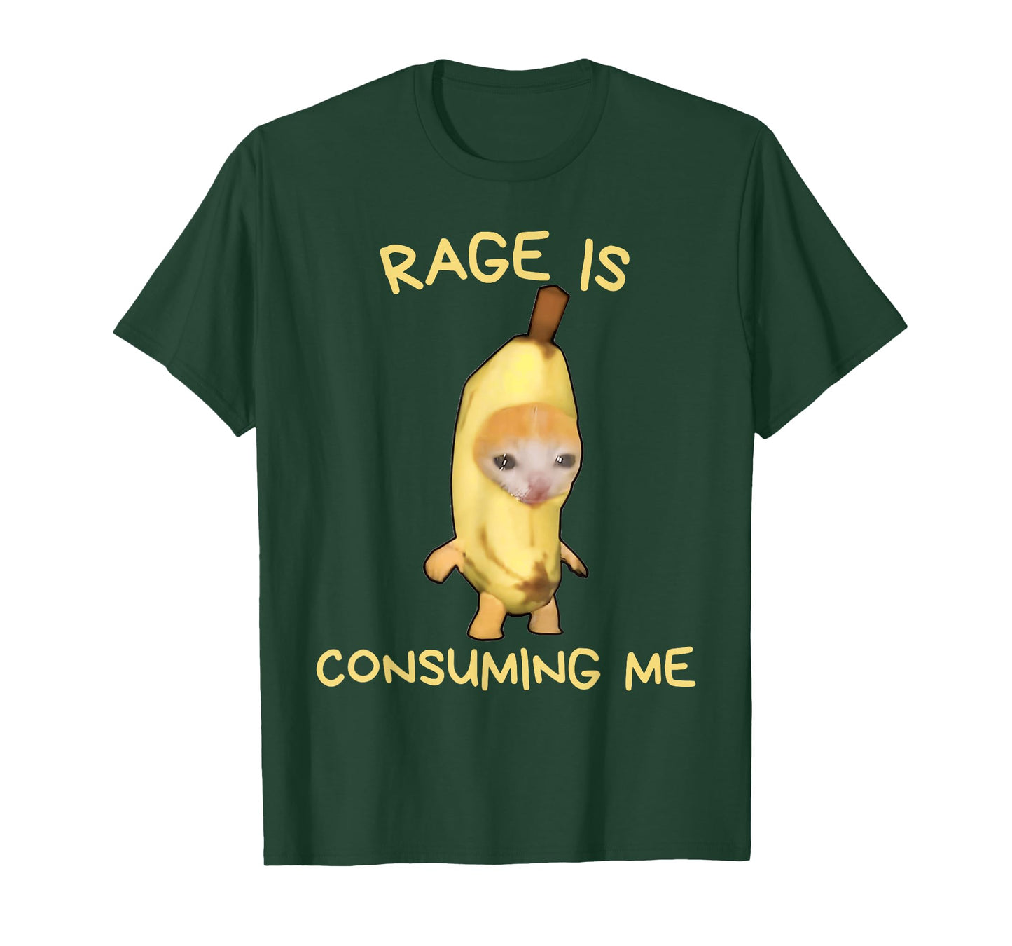Rage Is Consuming Me Meme Banana Cat Meme Funny Memes Gen-Z T-Shirt