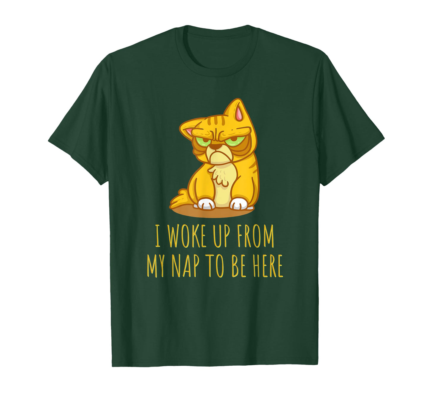Funny cat shirt. I WOKE UP FROM MY NAP TO BE HERE T-Shirt for Men Women Kids