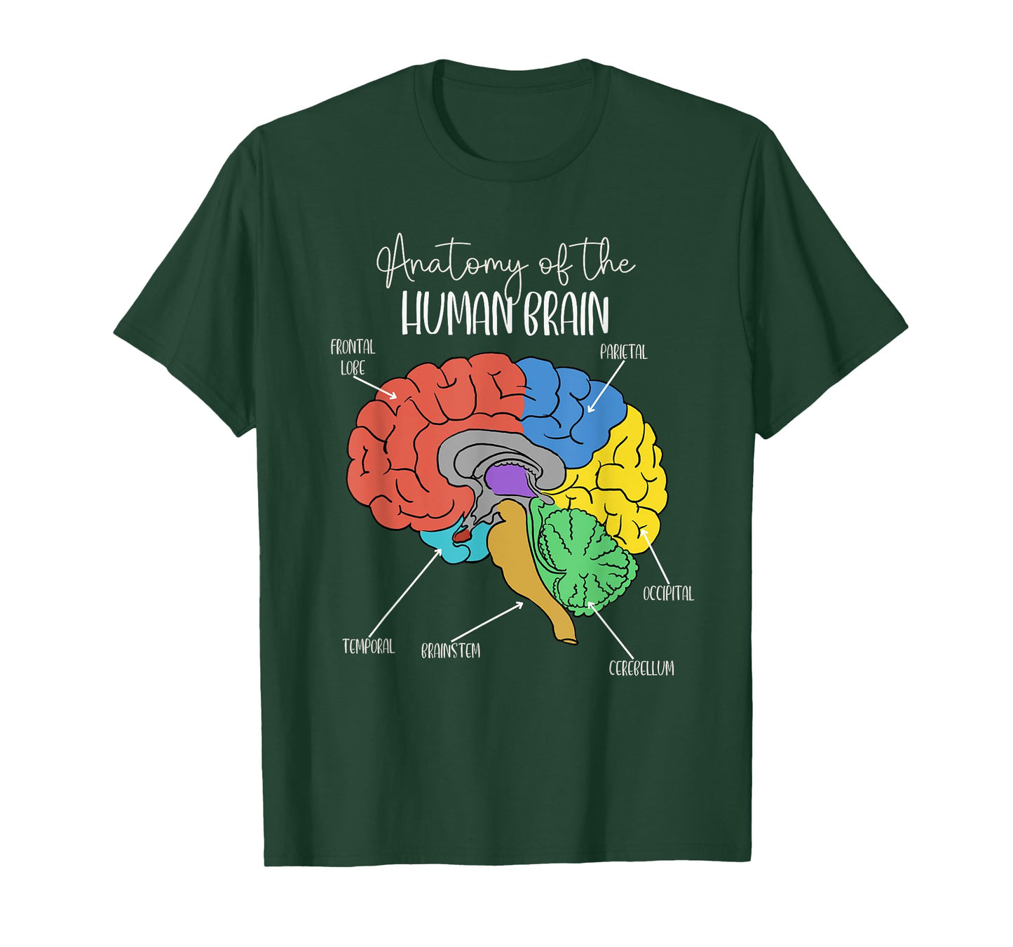 Anatomy of the Human Brain Diagram Neurology Colorful Brain T-Shirt