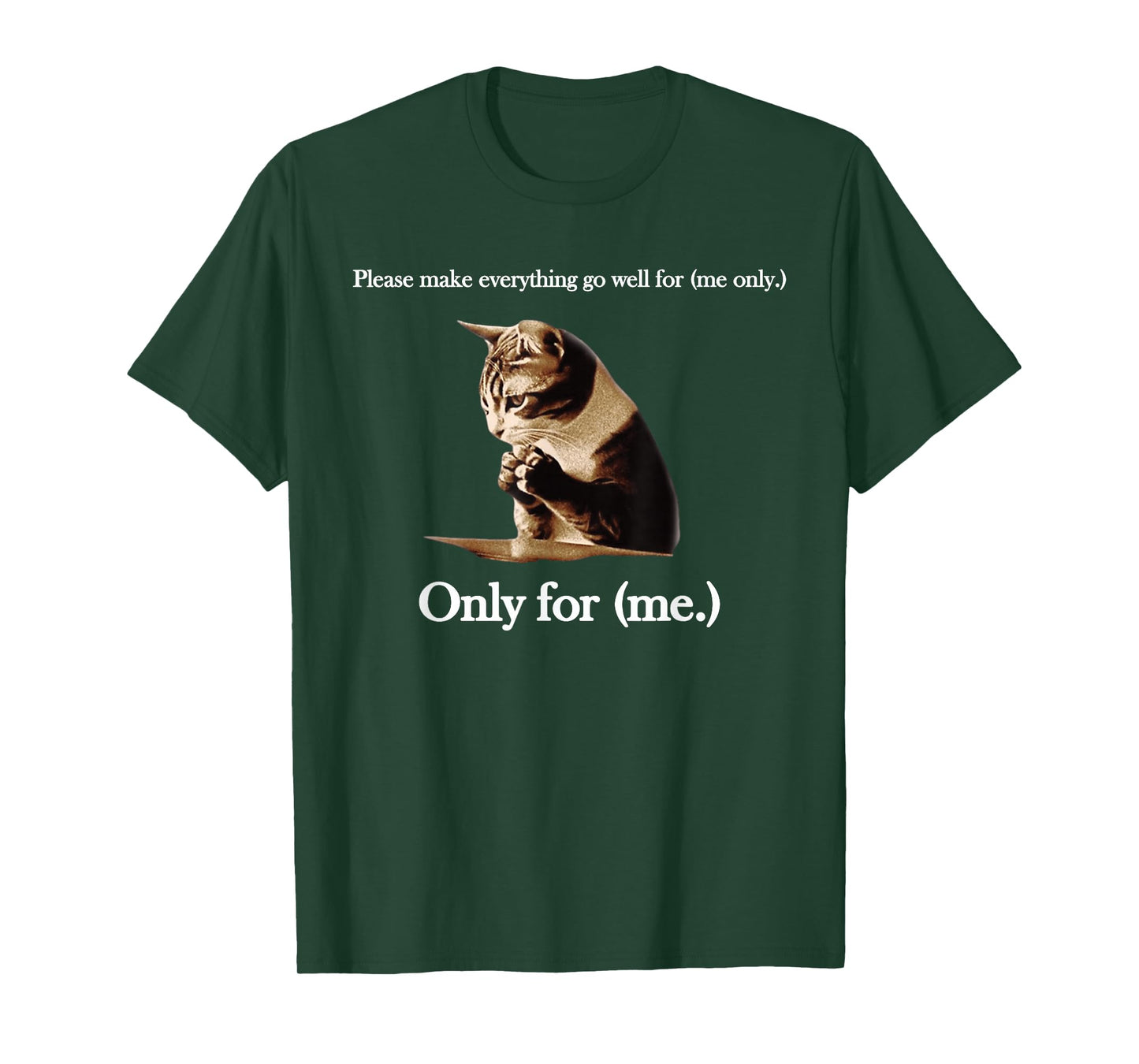 Please Make Everything Go Well For (me only.) Cat Saying T-Shirt