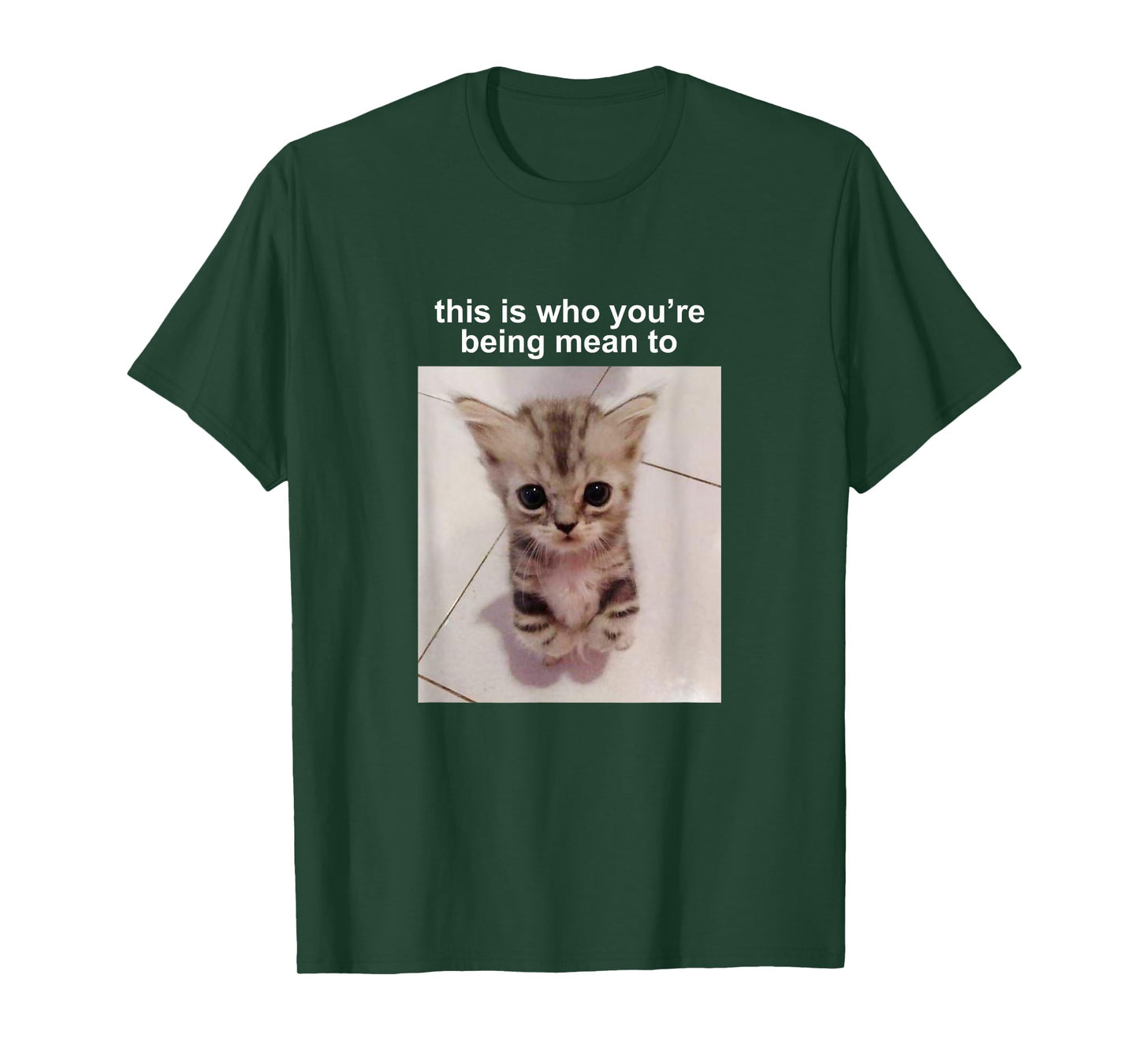 This is Who You're Being Mean to Silly Cat Meme T-Shirt