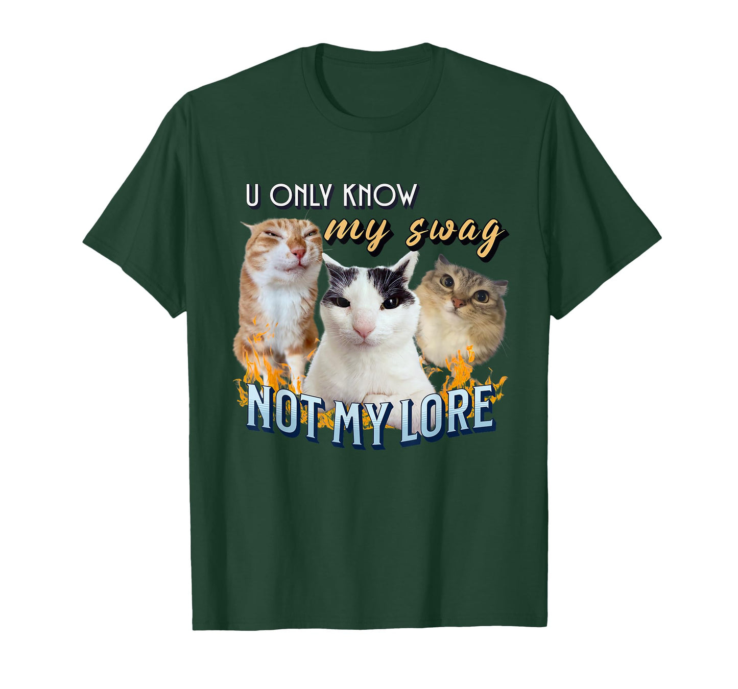 You Only Know My Swag Not Lore Funny Derpy Cat Meme Y2K T-Shirt for Men Women Kids