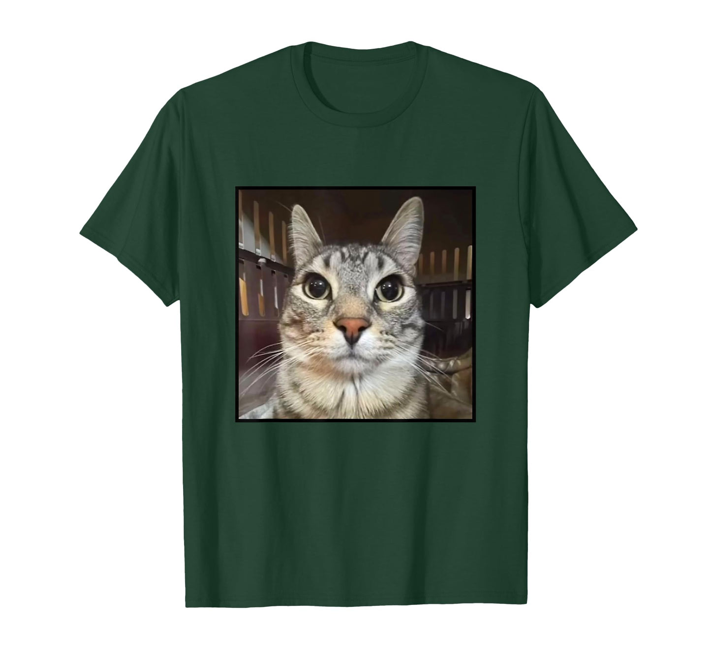 Silly Staring Cat Meme T-Shirt