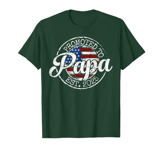 Promoted To Papa Est 2025 Dad To Be Gifts First Time Dad T-Shirt