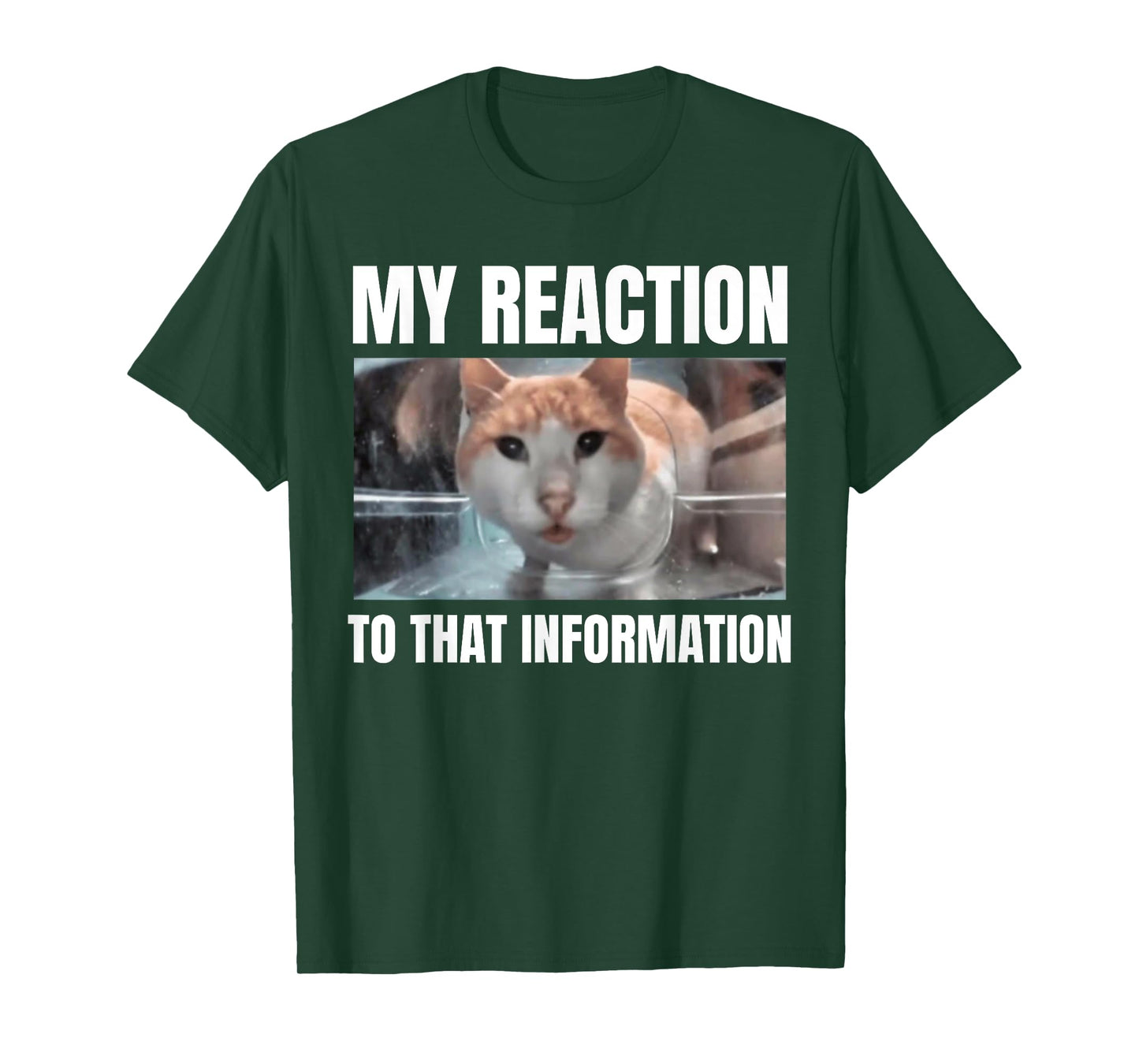 Hello Street Cat Funny Staring Bombastic Side Eye Meme Cats T-Shirt for Men Women