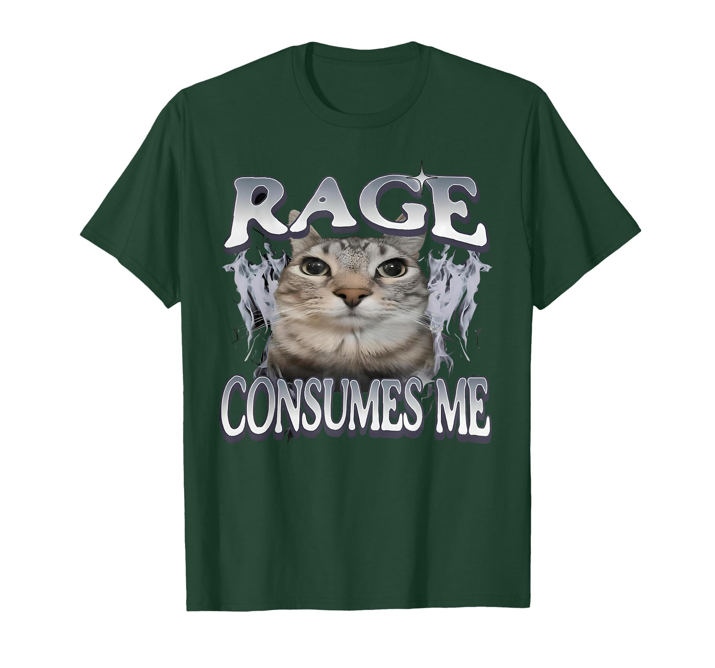 Rage Consumes Me Cat Funny Cat Meme Vintage Weird Humor T-Shirt