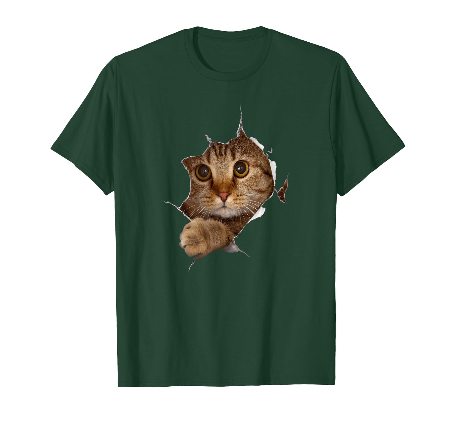 Sweet Kitten Torn Cloth - Funny Cat Lover Cat Owner Cat Lady T-Shirt