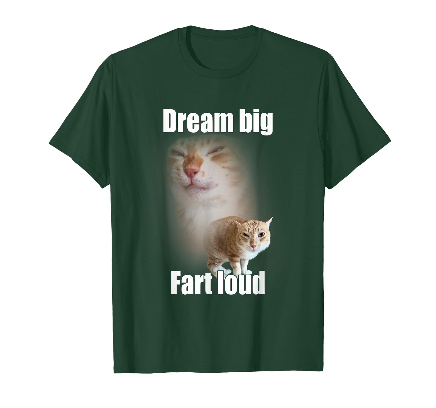 Dream Big Fart Loud Cat Meme Funny Saying T-Shirt