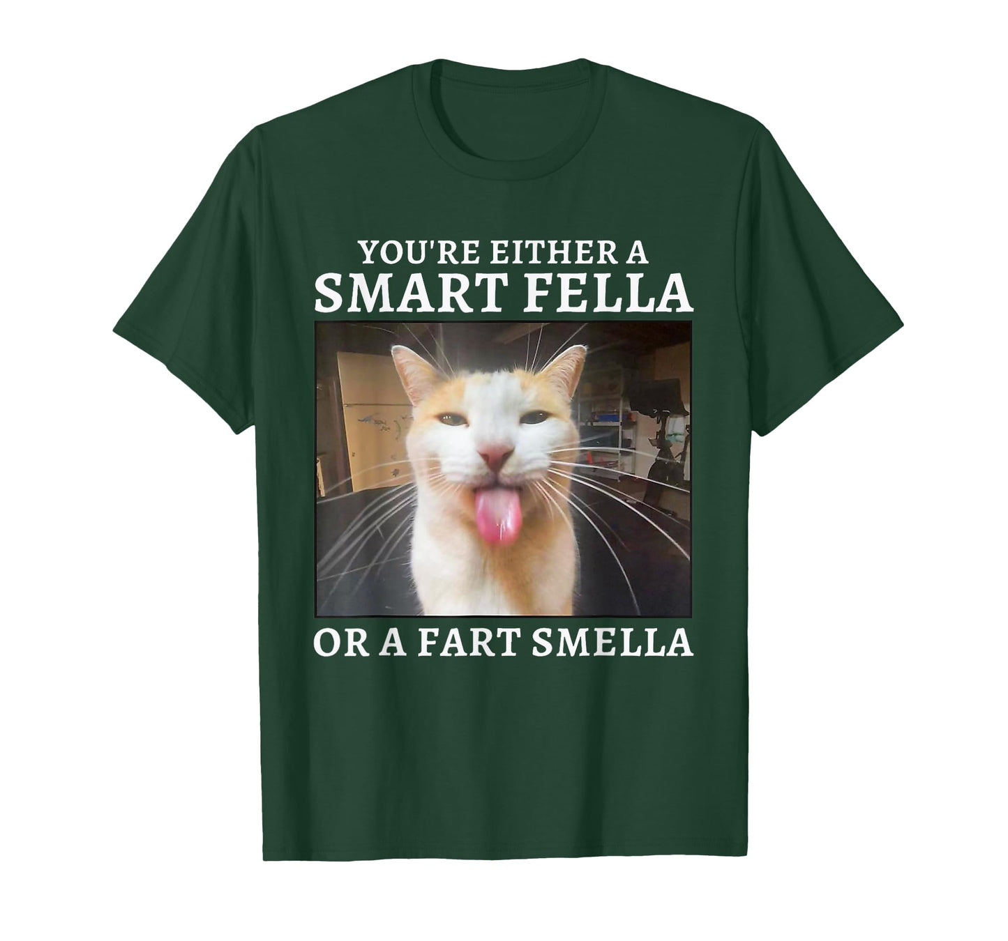 You're Either a Smart Fella or a Fart Smella Funny Cat Meme T-Shirt