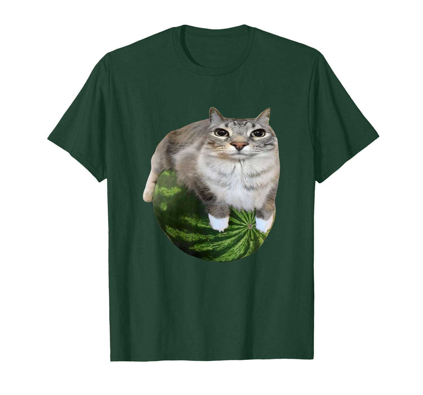 Watermelon Cat Silly Cat Meme T-Shirt