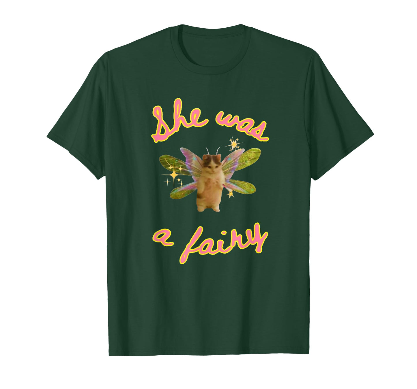 She was A Fairy Meme, Funny Cat Meme Gift T-Shirt