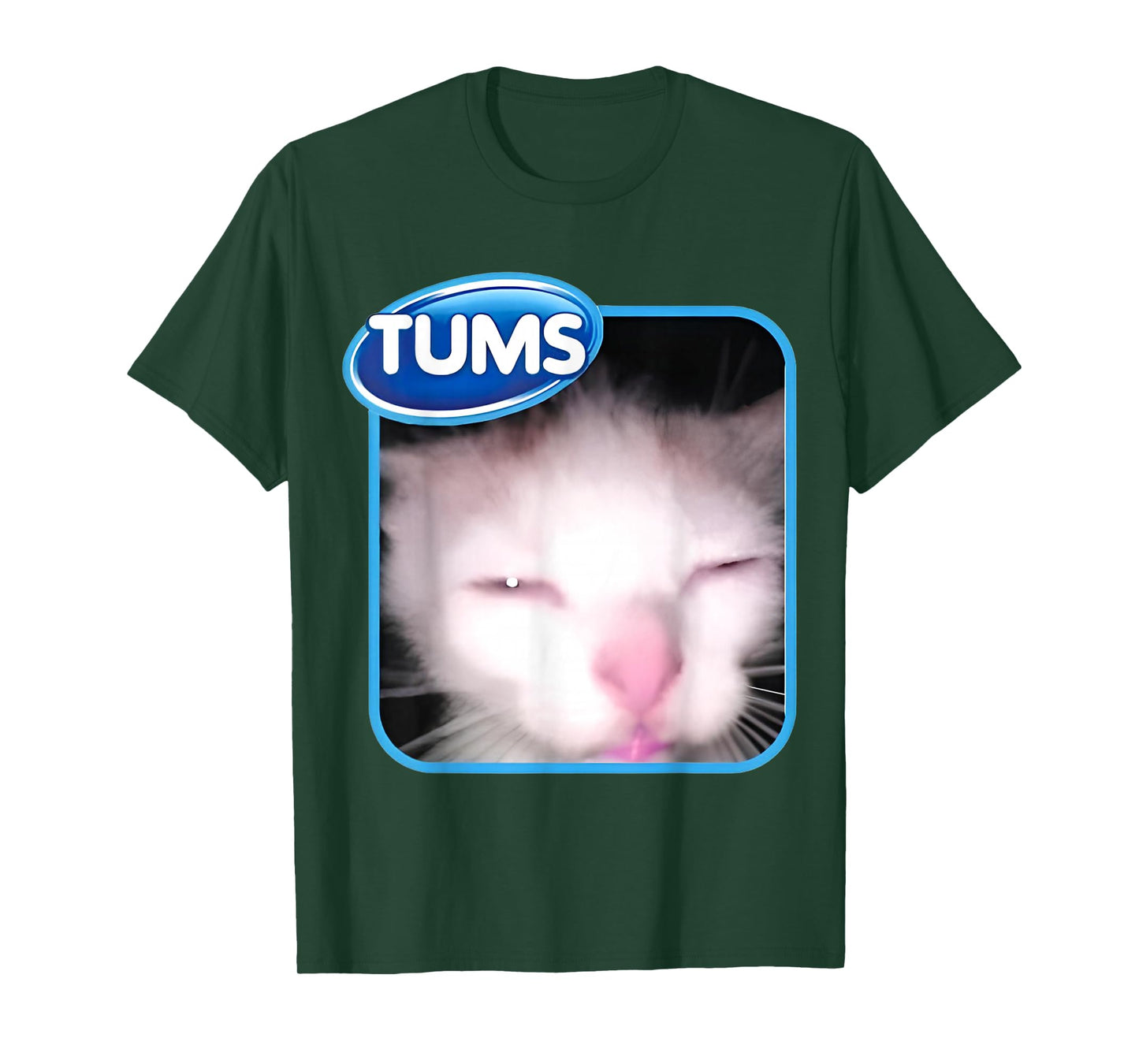 Tummy Ache Tums Meme Cat Graphic T-Shirt