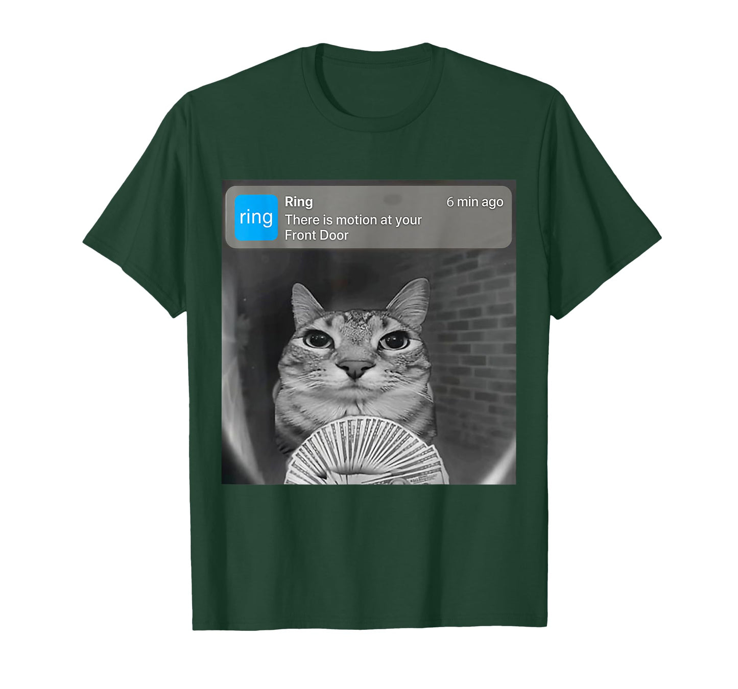 There is Motion at Your Front Door Funny Silly Cat Meme T-Shirt