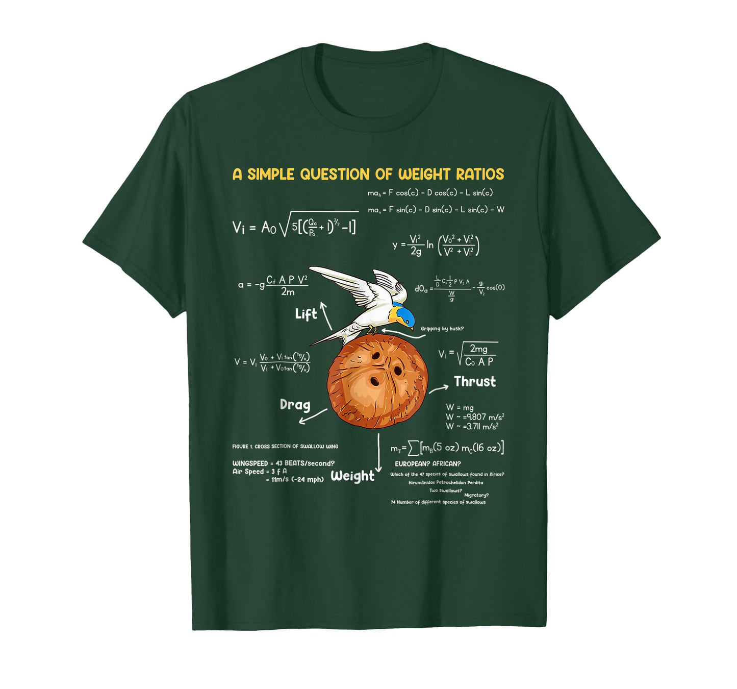 A Simple Question Of Weight Ratios Funny Math Teacher T-Shirt