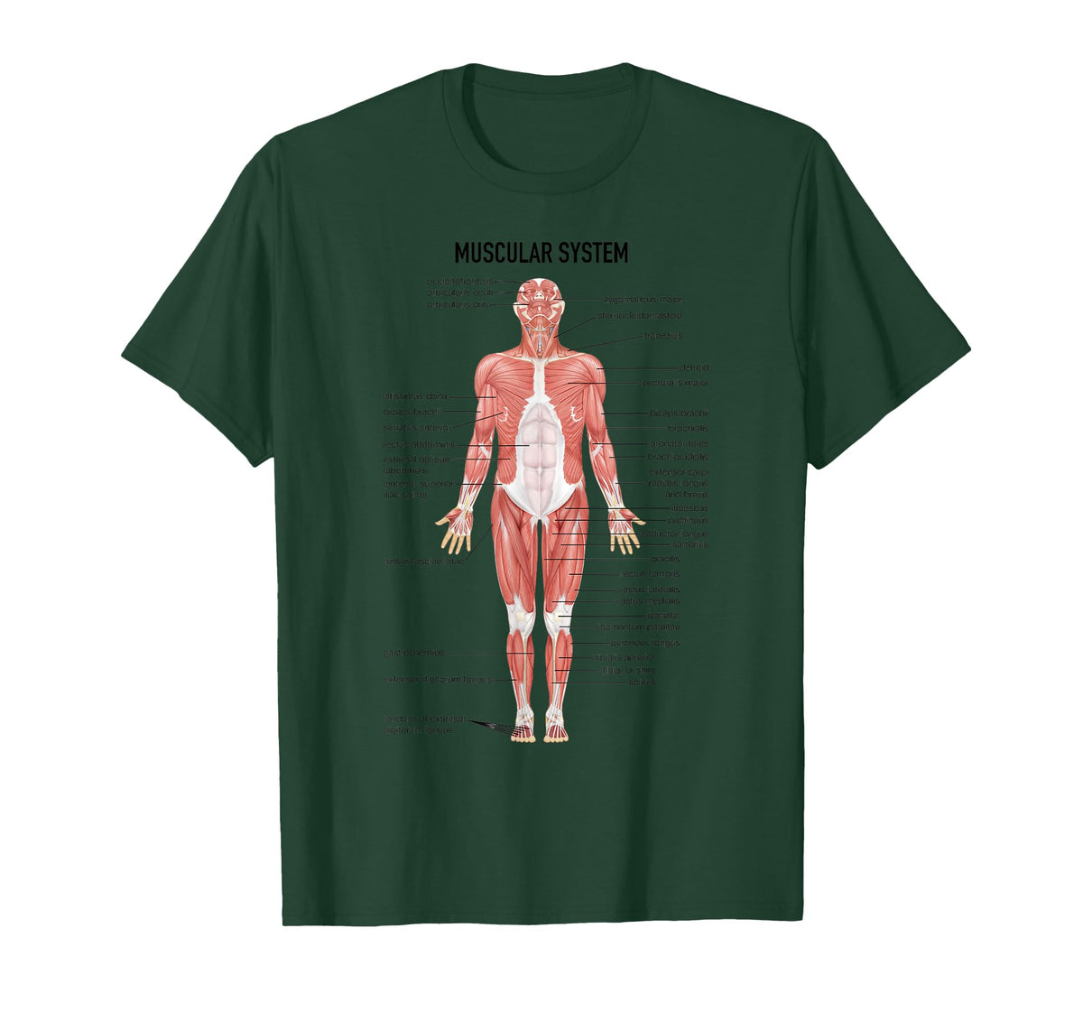 Muscular System Nurse Doctor Funny Med Medical Jokes Humor T-Shirt