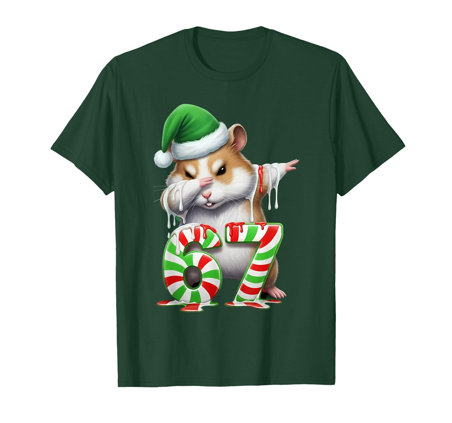 67 Christmas Funny 67 Brainrot Youth Kids Hamster 67 T-Shirt