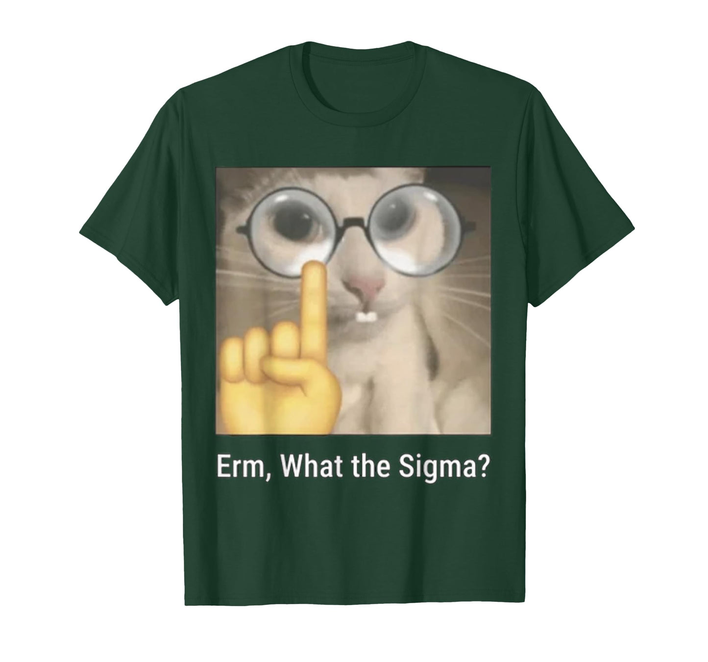 Cat Funny Erm, What The Sigma? Cat Meme Funny T-Shirt