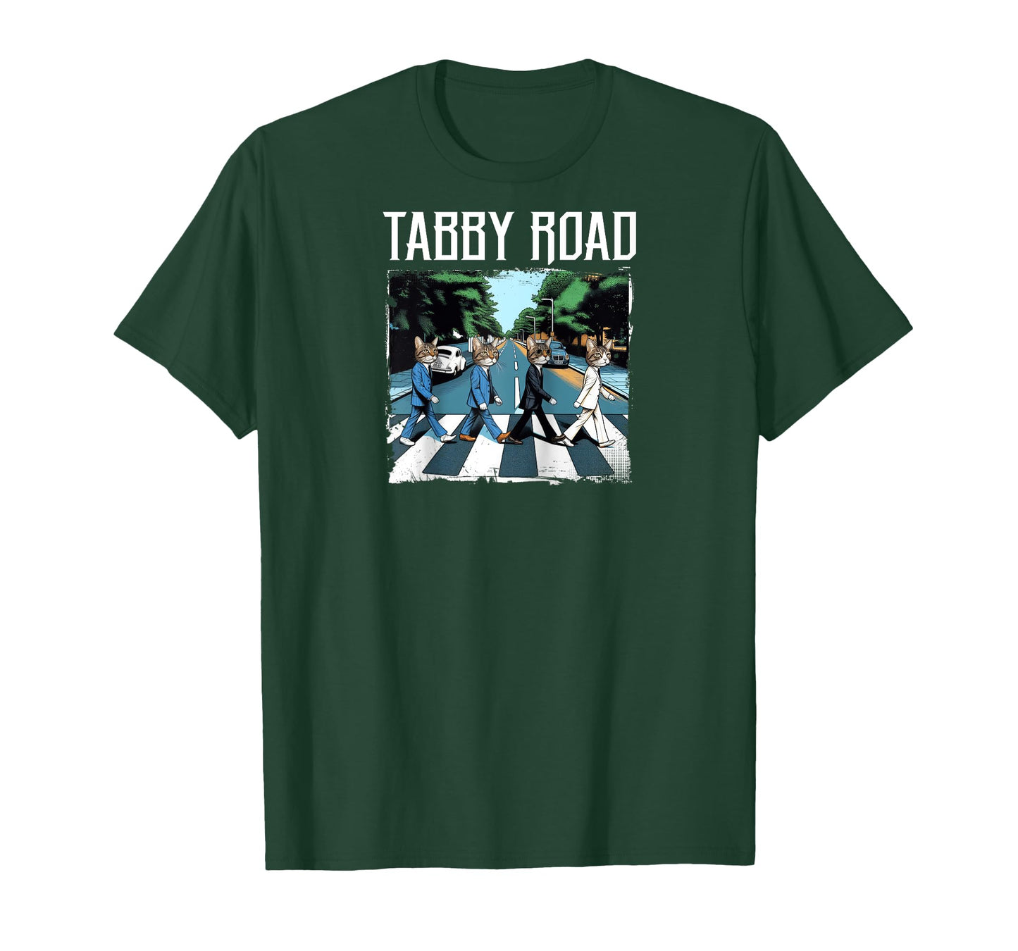 Tabby Road For Cat Lovers And Old Rock Puns Raglan Baseball Tee
