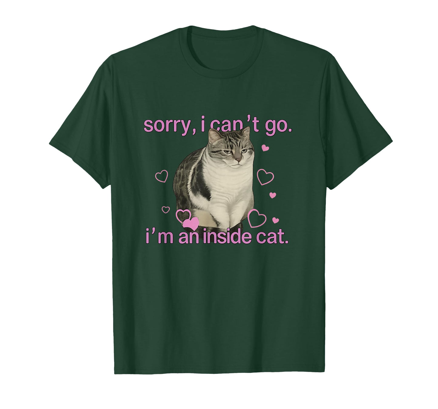 Sorry I can’t go I’m an Inside cat T-Shirt