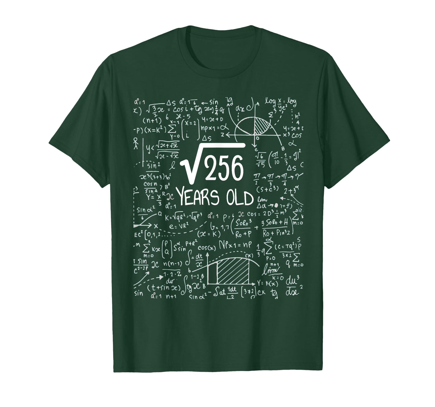 16th Birthday Square Root of 256: 16 Years Old T-Shirt