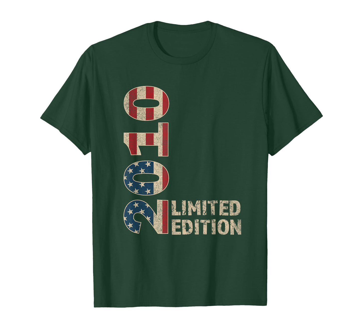 15th Birthday Gift Boy Vintage Born 2010 Turning 15 Year old T-Shirt