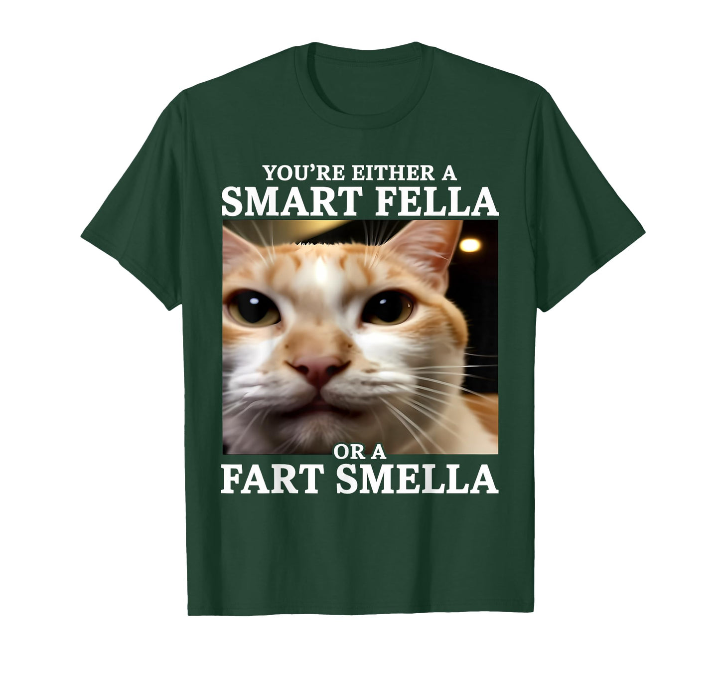 You're Either a Smart Fella or a Fart Smella Funny Cat Meme T-Shirt