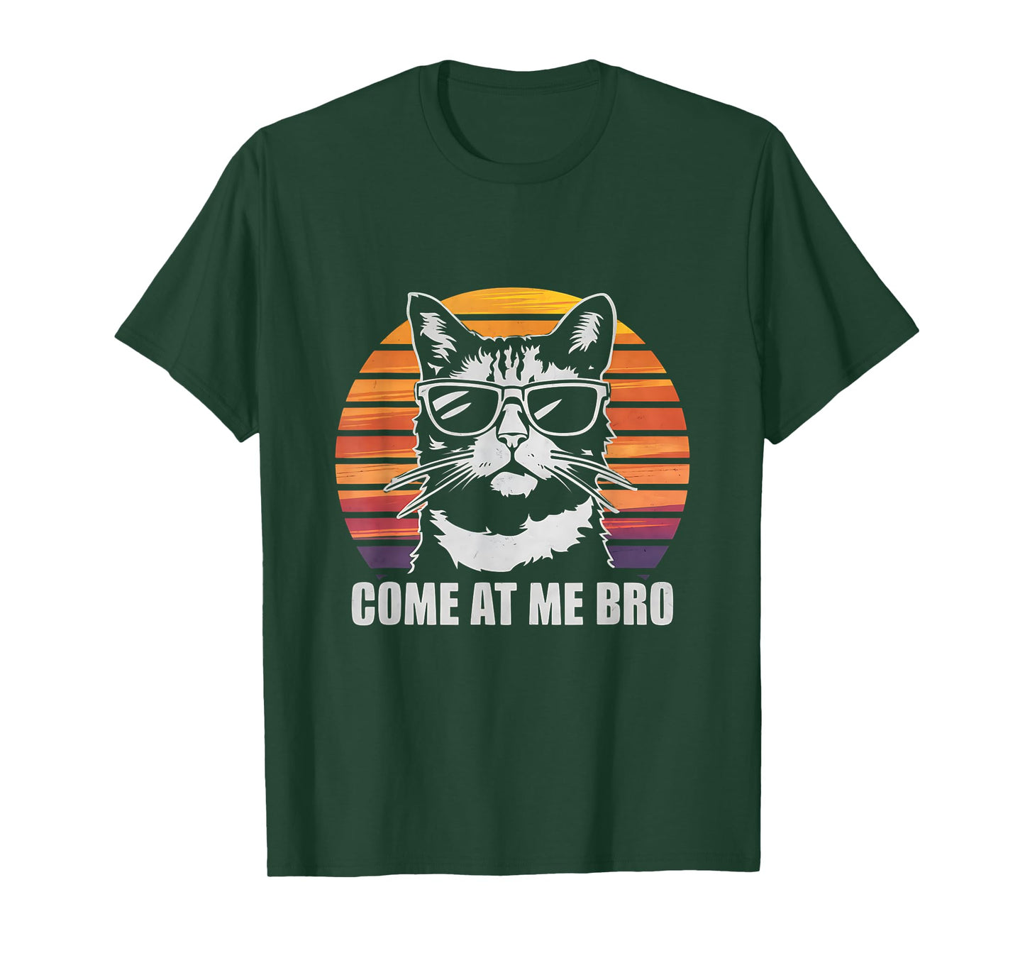 Come at me bro Cat, Funny Cats Retro Sunset Sarcastic Joke T-Shirt