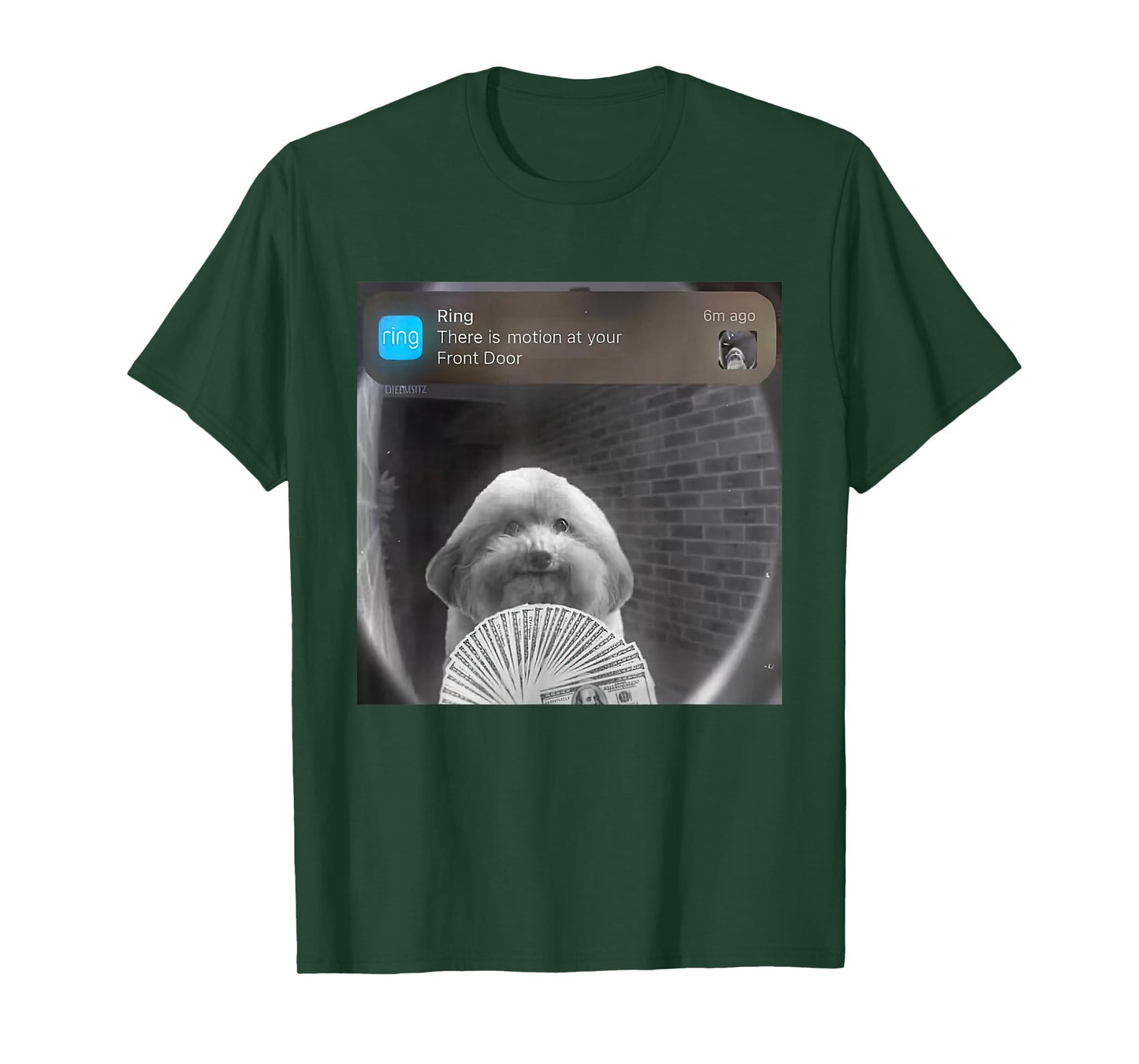 Funny Ring There Is Motion At Your Front Door Tee T-Shirt