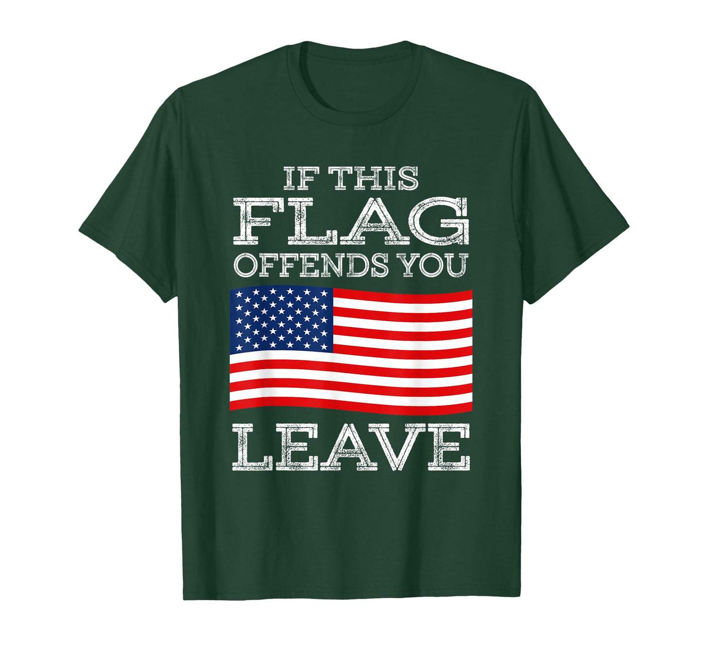 If This Flag Offends You Leave T-Shirt - Proud USA Veteran T-Shirt