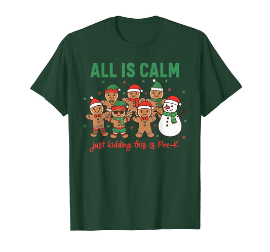 All is Calm Just Kidding This is Pre-K Preschool Teacher T-Shirt