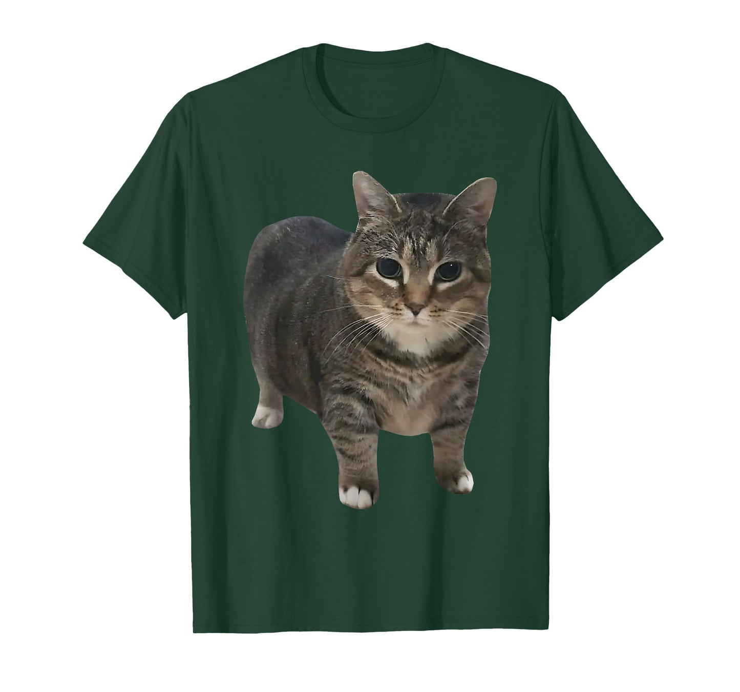 oiia oiia Spinning Cat Meme T-Shirt for Men Women