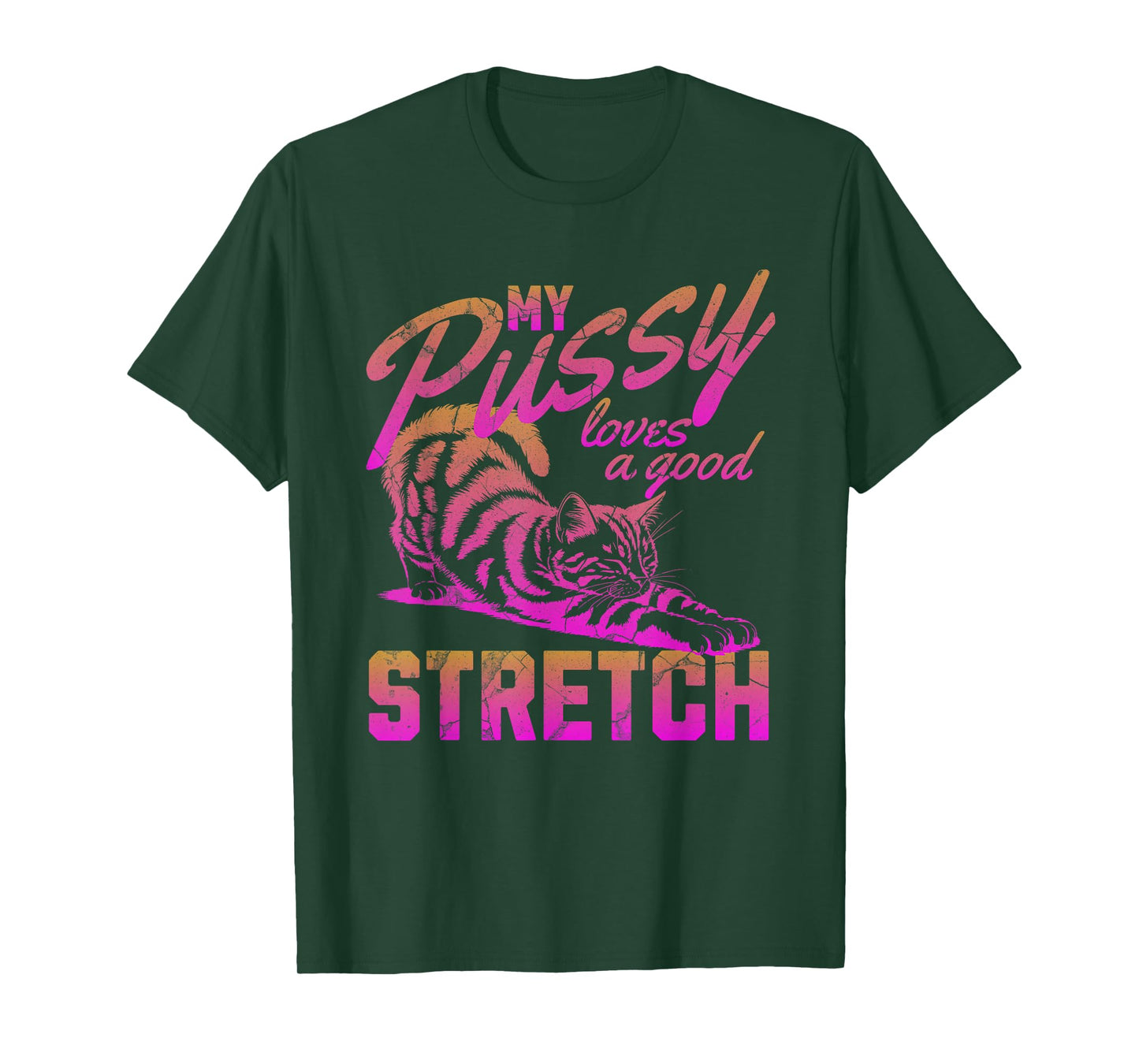 My Pussy Love A Good Stretch Funny Vintage T-Shirt
